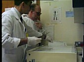 Scientists reviewing DNA test results