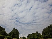 Timelapse of cumulus and stratocumulus clouds in summer