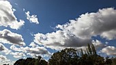 Timelapse of cumulus humilis clouds after frontal passage