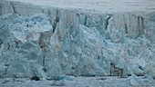 Glacier calving, Arctic