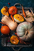 Variety of pumpkins of different size, form and color