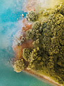 Bird's-eye view of woodland on shore of cobalt-blue water