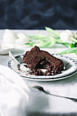Piece of chocolate cake on plate