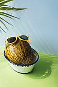 Toad skin melons variety with fun sunglasses, in blue and green background