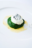 Poached egg on spinach puree