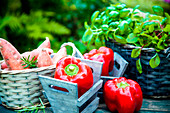Frisches Gemüse und Kräuter auf Gartentisch