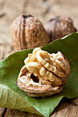 Walnut in a walnut half