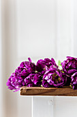 Lila Tulpen 'Purple Peony' auf Tisch