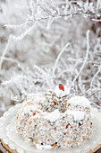 Bird feeding station in frosty garden