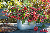Ornamental apple arrangement in a zinc container, wreath of tendrils from wild wine