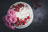 Raspberry and vanilla sponge cake with chocolate cream