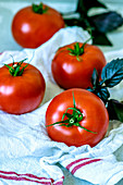 Frische reife Tomaten und Purpurbasilikum auf Geschirrtuch