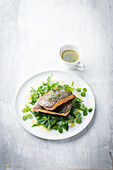 Trout with chive butter