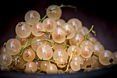 Close up of White Currants