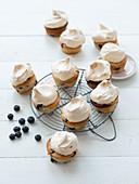 Blueberry tartlets with a meringue topping
