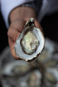 A person holding a freshly opening oyster