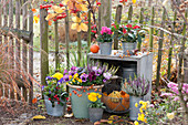Autumn - arrangement with pansies, violets and bud heather on the fence