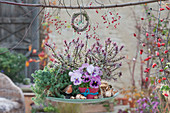 Bowl with autumn decoration blue stonecrop, shrub veronica and pansies
