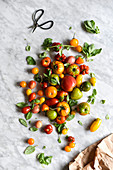 Verschiedene frische Tomaten mit Basilikum auf Marmoruntergrund