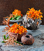 Dendrobium Stardust flowers in bowls