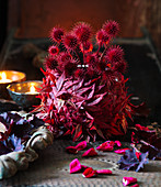 Red-dyed small teasel seed heads and Japanese maple leaves