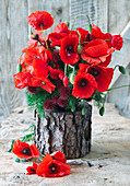 Bouquet of poppies