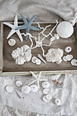 Coral ornaments handmade from sponge and plaster
