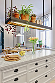 Potted plants on suspended shelf with fluorescent tube light above island counter