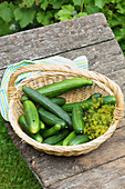 Cucumbers in the basket