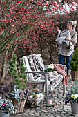 Bench on the ornamental apple tree 'Evereste', pots with autumn plants