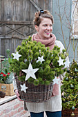Woman carrying pug pine decorated with stars