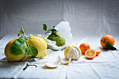 Citrons, tangerines and oranges