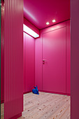 Blue hare on wooden floor in hallway with hot-pink walls and doors