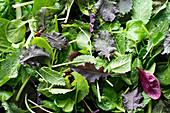 Various lettuce leaves (full image)