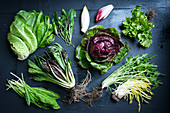 Various bitter salad leaves