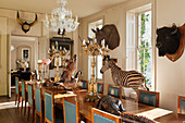 Mahogany table and blue leather chairs in dining room with assorted taxidermy specimens