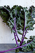 Pieces of purple kale