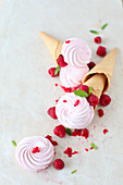 Raspberrie Marshmallows (Zefir) with Mint in Waffle Cones