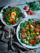 Two vegetarian spring salads with egg and fried potatoes