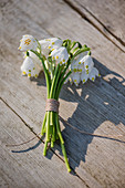Kleiner Strauß aus Blüten vom Märzenbecher