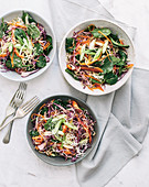 Crunchy rice noodle salads with vegetables