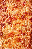Lasagne with cheese (filling the picture)