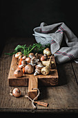 Möhren, Pastinaken, Zwiebeln und Pilze auf Holzschneidebrett