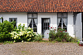 Wild front garden and courtyard outside country house with grey shutters