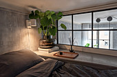 Swiss cheese plant next to interior window and next to bed in grey bedroom
