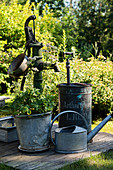 Old garden pump, zinc buckets and zinc watering can