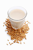Oat drink and oat grains