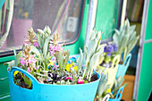 Blühendes Frühlings Arrangement mit Zwiebelblumen