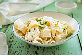 Pappardella with chicken alfredo sauce and chopped parsley