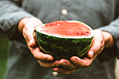 Farmers hands with fresh watermelon